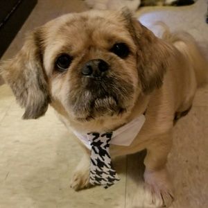 Meet your Posher, Geraldine